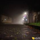 zdjęcie nr 11