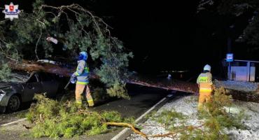 32-letni mężczyzna uderzył w drzewo w Dominiczynie w gminie Stary Brus